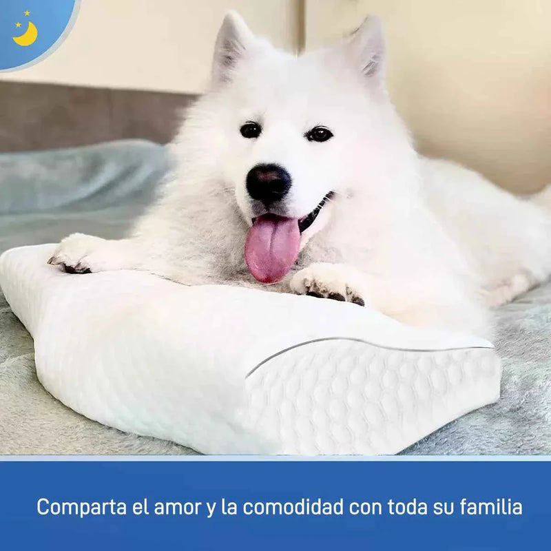 Almohada cervical viscoelástica Cuello